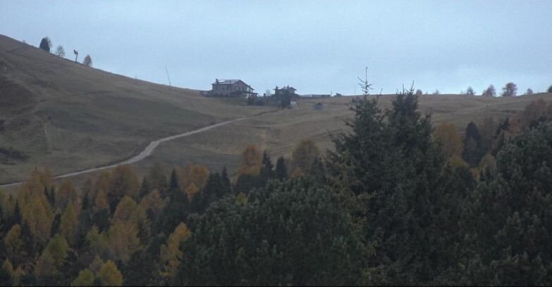 Webcam Bellamonte-Alpe Lusia  - Pista Dolomitica