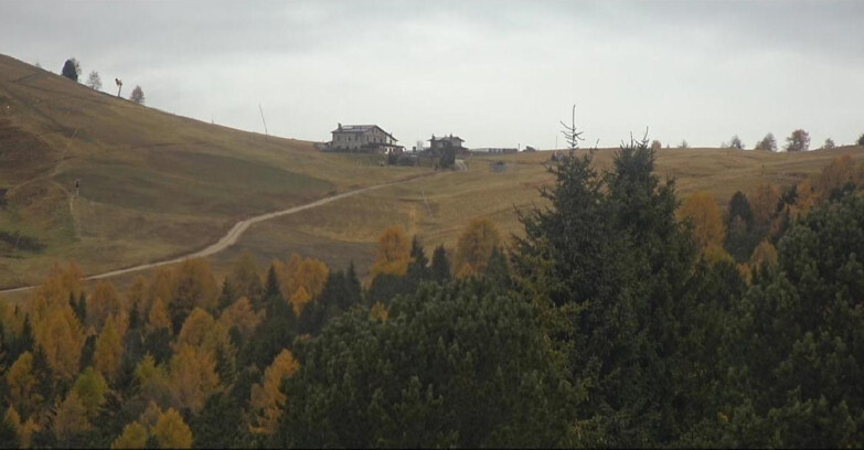 Webcam Bellamonte-Alpe Lusia  - Pista Dolomitica