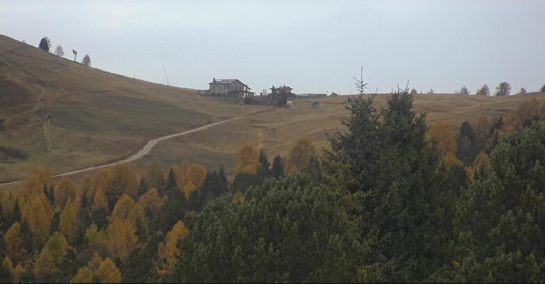 Webcam Bellamonte-Alpe Lusia  - Pista Dolomitica