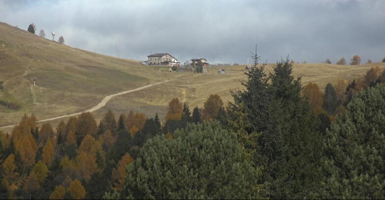 Webcam Bellamonte-Alpe Lusia - Dolomiti slope