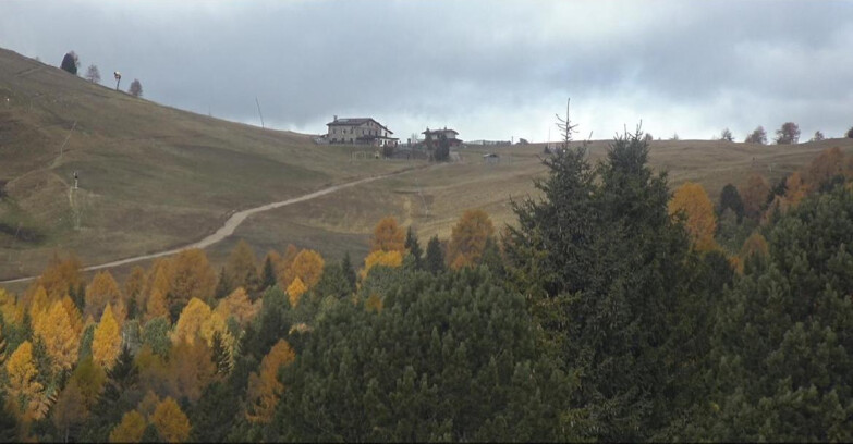 Webcam Bellamonte-Alpe Lusia - Dolomiti slope