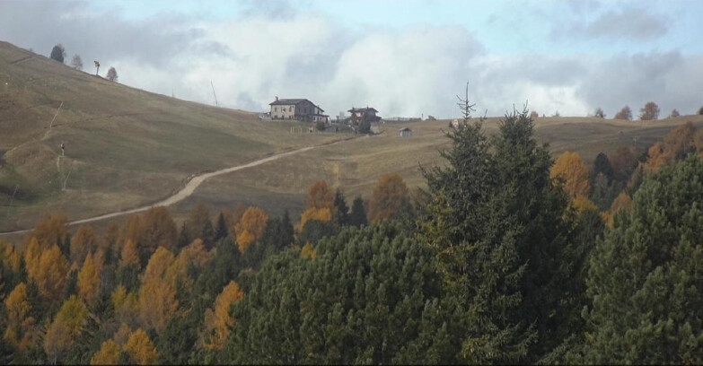 Webcam Bellamonte-Alpe Lusia - Dolomiti slope