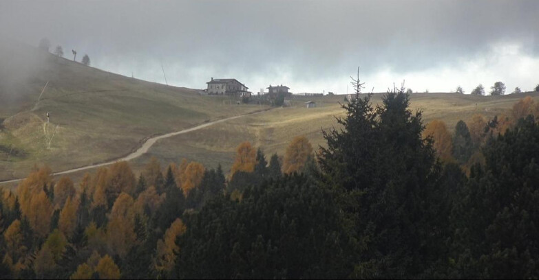 Webcam Bellamonte-Alpe Lusia - Dolomiti slope