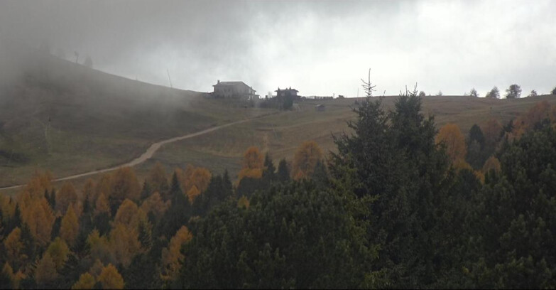 Webcam Bellamonte-Alpe Lusia - Dolomiti slope