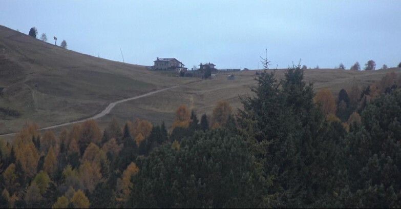 Webcam Bellamonte-Alpe Lusia - Dolomiti slope