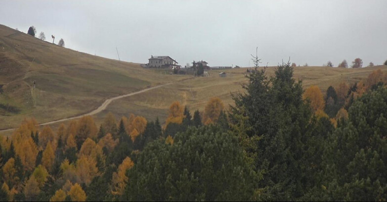 Webcam Bellamonte-Alpe Lusia - Dolomiti slope