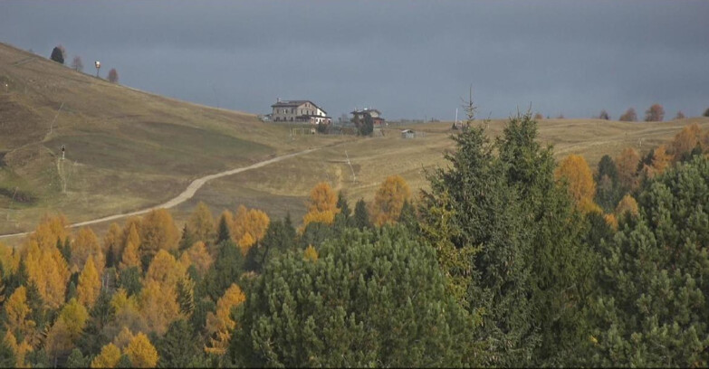 Webcam Bellamonte-Alpe Lusia - Dolomiti slope