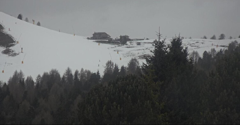 Webcam Bellamonte-Alpe Lusia  - Pista Dolomitica