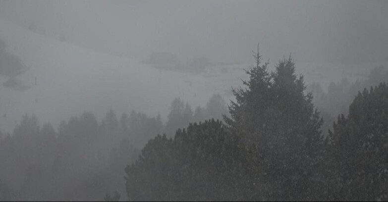 Webcam Bellamonte-Alpe Lusia  - Pista Dolomitica