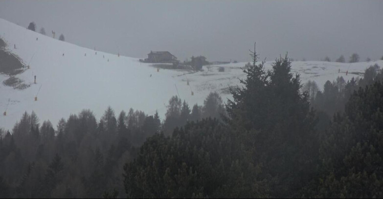 Webcam Bellamonte-Alpe Lusia  - Pista Dolomitica