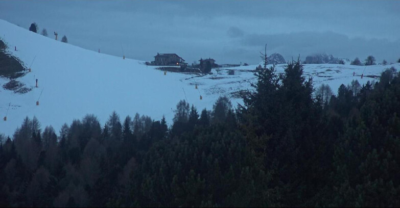 Webcam Bellamonte-Alpe Lusia  - Pista Dolomitica