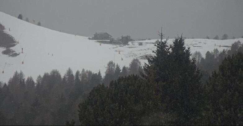 Webcam Bellamonte-Alpe Lusia - Pista Dolomitica