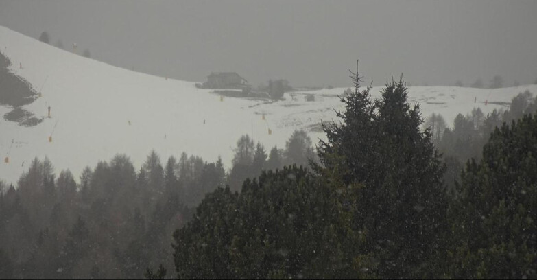 Webcam Bellamonte-Alpe Lusia - Pista Dolomitica