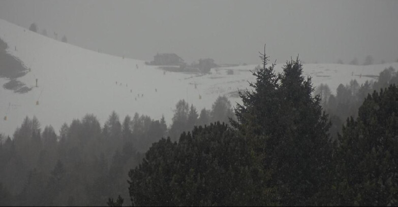 Webcam Bellamonte-Alpe Lusia - Pista Dolomitica