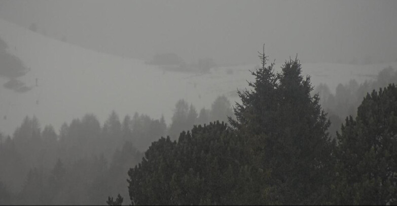 Webcam Bellamonte-Alpe Lusia - Pista Dolomitica