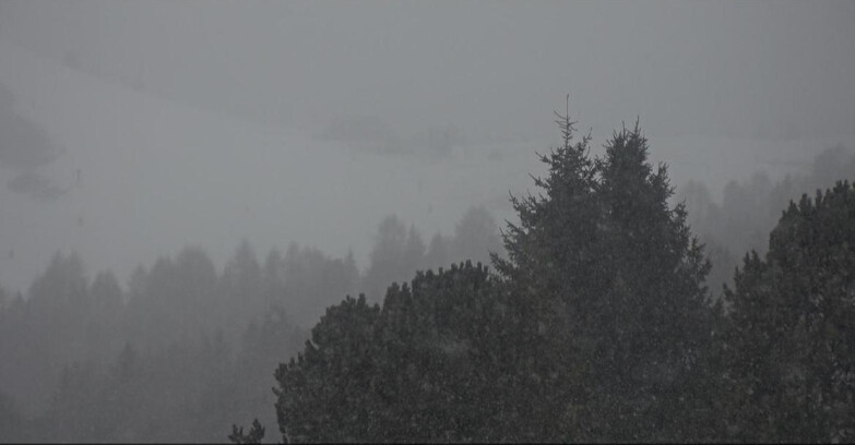 Webcam Bellamonte-Alpe Lusia - Pista Dolomitica