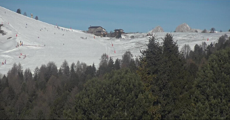 Webcam Bellamonte-Alpe Lusia  - Pista Dolomitica