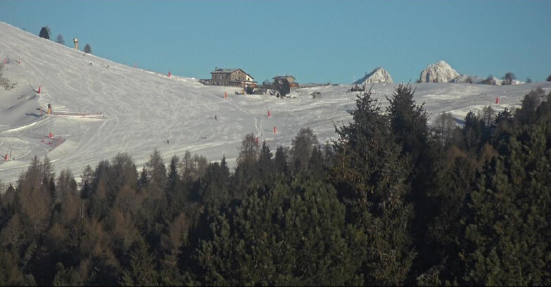 Webcam Bellamonte-Alpe Lusia  - Pista Dolomitica