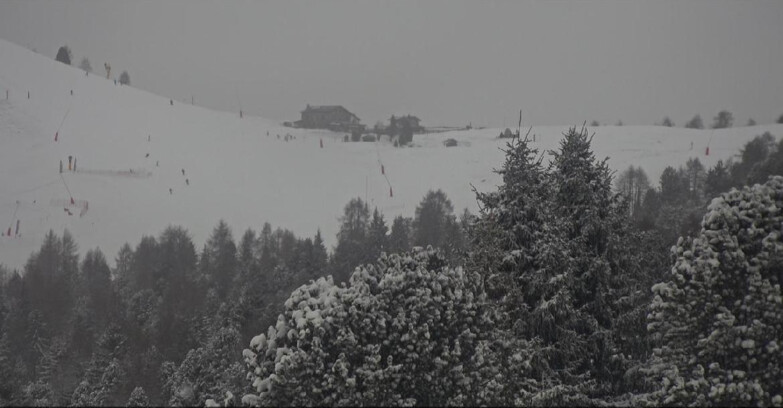 Webcam Bellamonte-Alpe Lusia - Pista Dolomitica