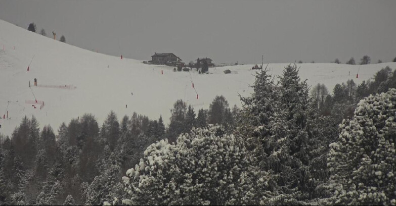 Webcam Bellamonte-Alpe Lusia - Pista Dolomitica