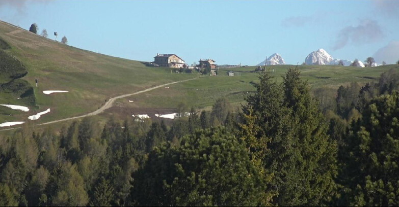 Webcam Bellamonte-Alpe Lusia - Dolomiti slope
