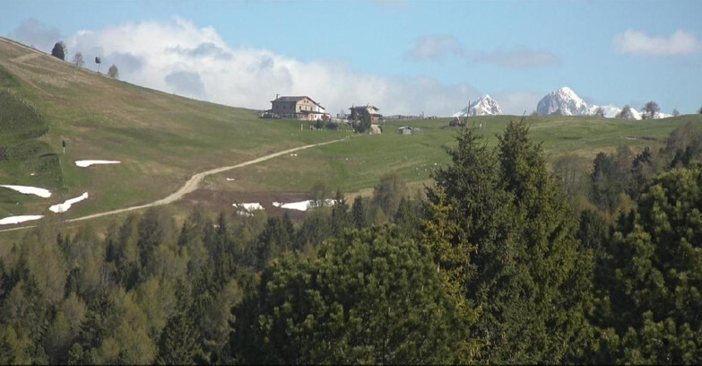 Webcam Bellamonte-Alpe Lusia - Dolomiti slope