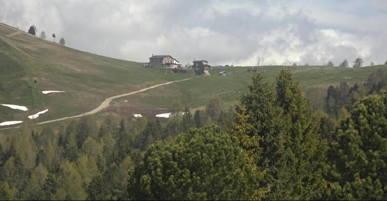 Webcam Bellamonte-Alpe Lusia  - Pista Dolomitica