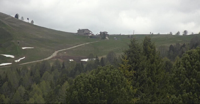 Webcam Bellamonte-Alpe Lusia  - Pista Dolomitica