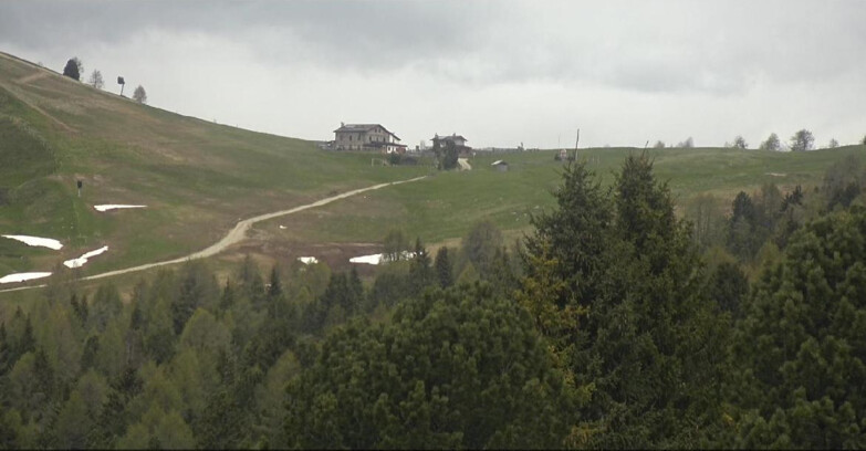 Webcam Bellamonte-Alpe Lusia  - Pista Dolomitica