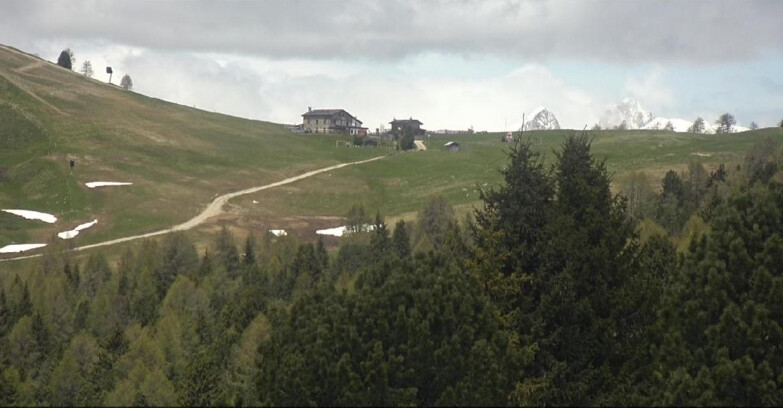 Webcam Bellamonte-Alpe Lusia  - Pista Dolomitica