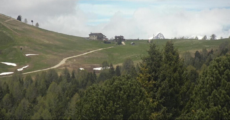Webcam Bellamonte-Alpe Lusia  - Pista Dolomitica