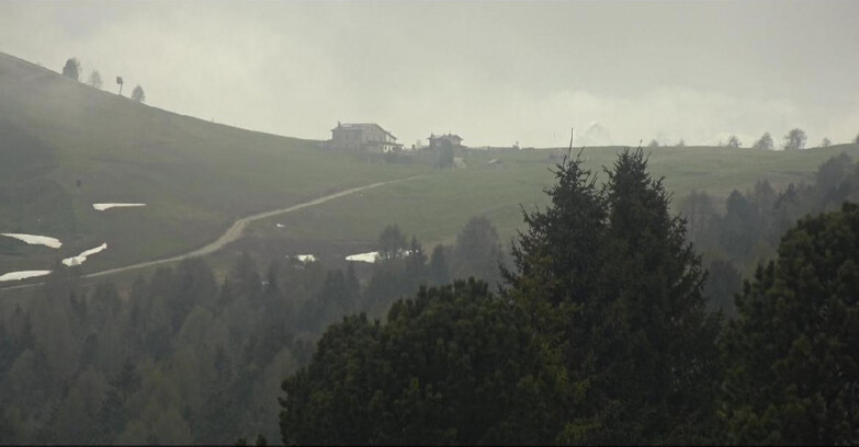 Webcam Bellamonte-Alpe Lusia  - Pista Dolomitica