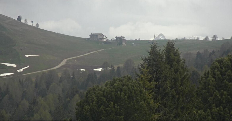 Webcam Bellamonte-Alpe Lusia  - Pista Dolomitica