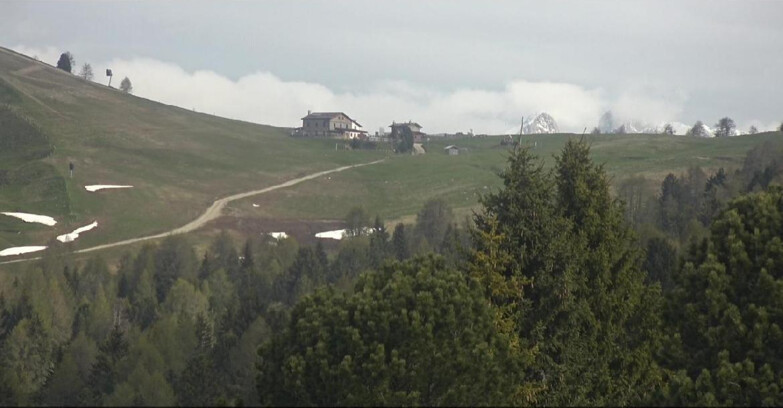 Webcam Bellamonte-Alpe Lusia  - Pista Dolomitica