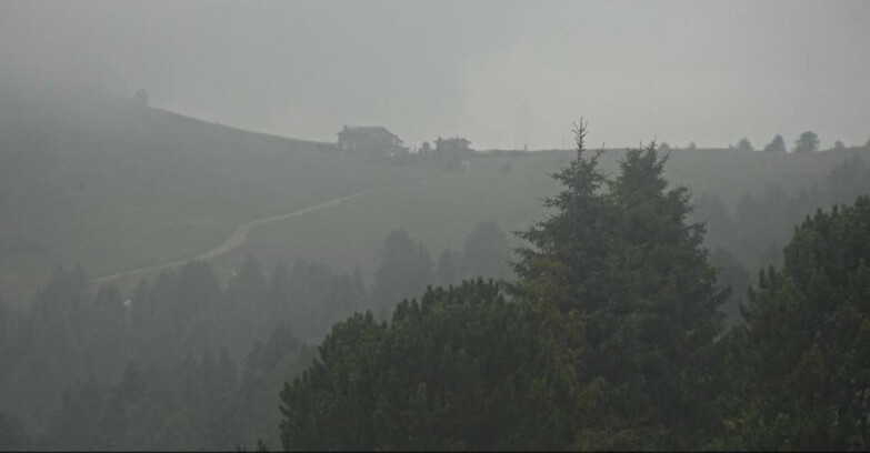 Webcam Bellamonte-Alpe Lusia  - Pista Dolomitica