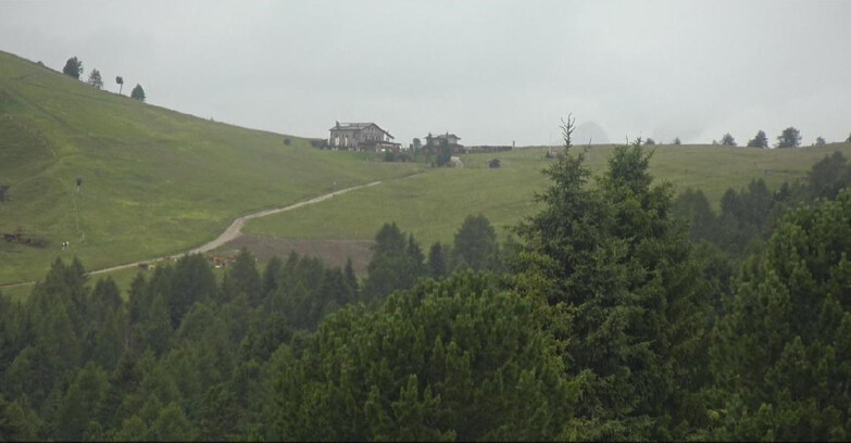 Webcam Bellamonte-Alpe Lusia  - Pista Dolomitica