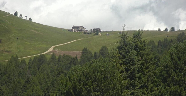 Webcam Bellamonte-Alpe Lusia  - Pista Dolomitica