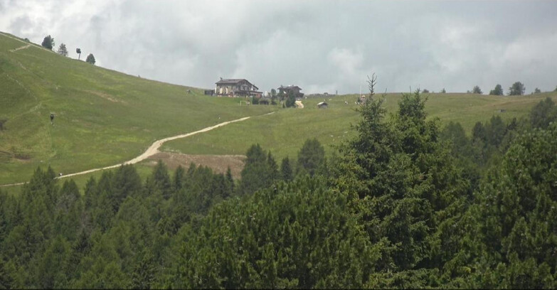 Webcam Bellamonte-Alpe Lusia  - Pista Dolomitica