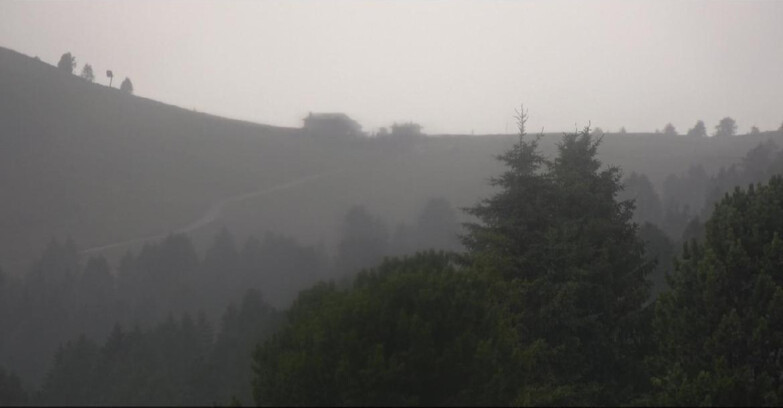 Webcam Bellamonte-Alpe Lusia  - Pista Dolomitica