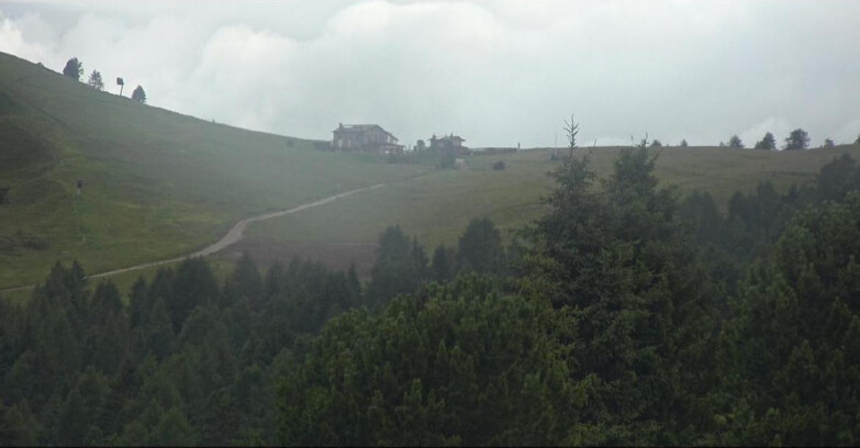 Webcam Bellamonte-Alpe Lusia  - Pista Dolomitica