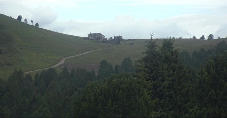 Webcam Bellamonte-Alpe Lusia  - Pista Dolomitica