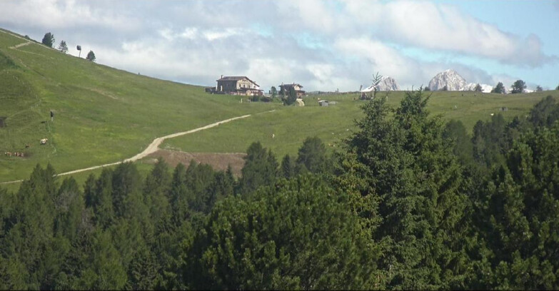 Webcam Белламонте-Альпе-Лусиа  - Pista Dolomitica