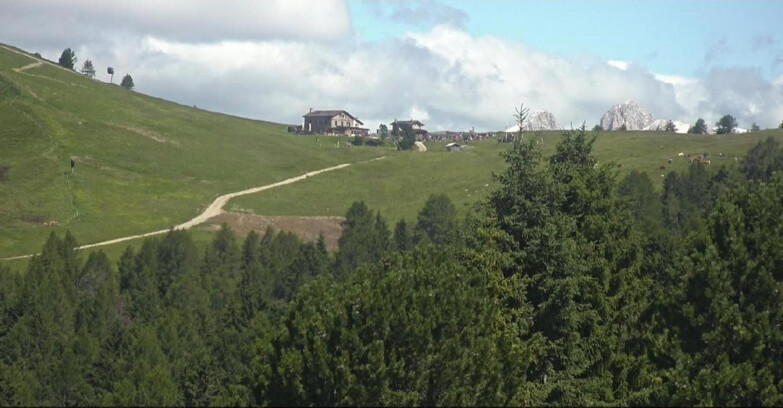Webcam Белламонте-Альпе-Лусиа  - Pista Dolomitica