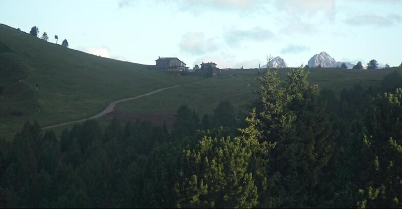 Webcam Белламонте-Альпе-Лусиа  - Pista Dolomitica