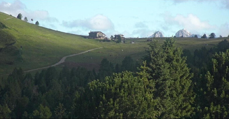 Webcam Белламонте-Альпе-Лусиа  - Pista Dolomitica