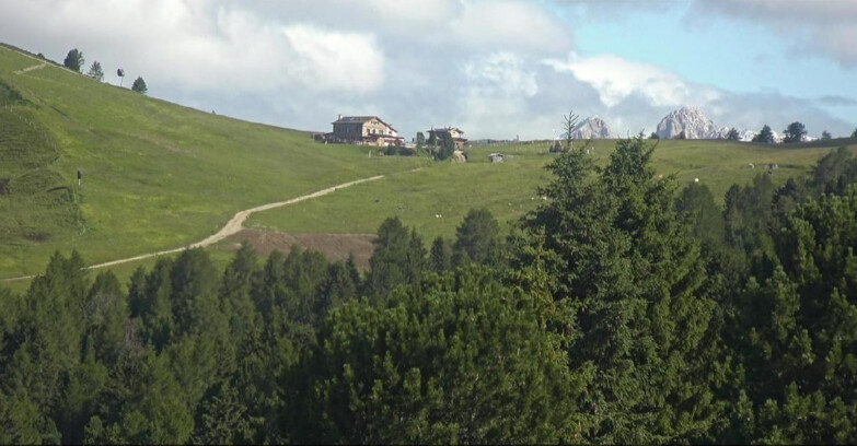 Webcam Белламонте-Альпе-Лусиа  - Pista Dolomitica