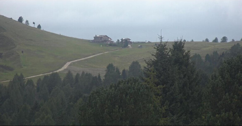 Webcam Bellamonte-Alpe Lusia  - Pista Dolomitica