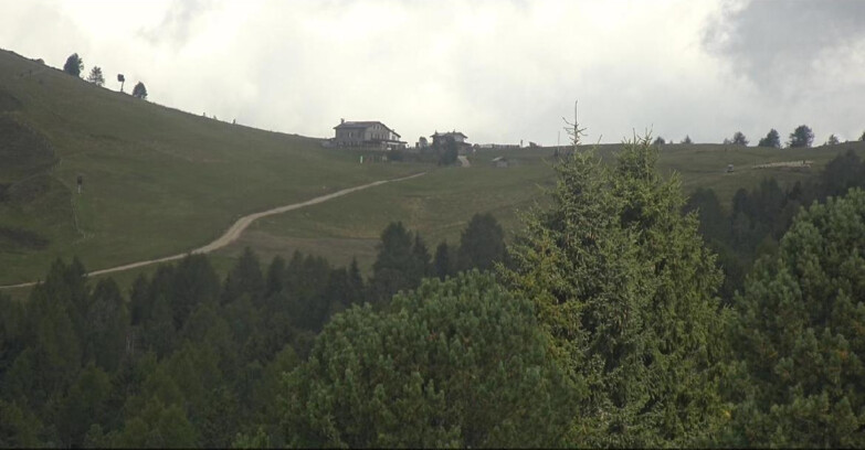Webcam Bellamonte-Alpe Lusia  - Pista Dolomitica