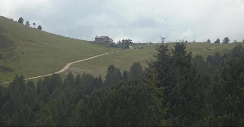 Webcam Bellamonte-Alpe Lusia  - Pista Dolomitica