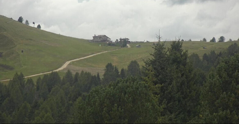 Webcam Bellamonte-Alpe Lusia  - Pista Dolomitica